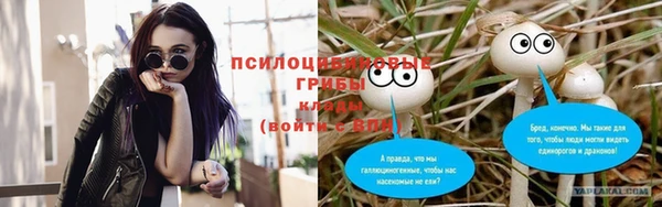 спайс Белокуриха