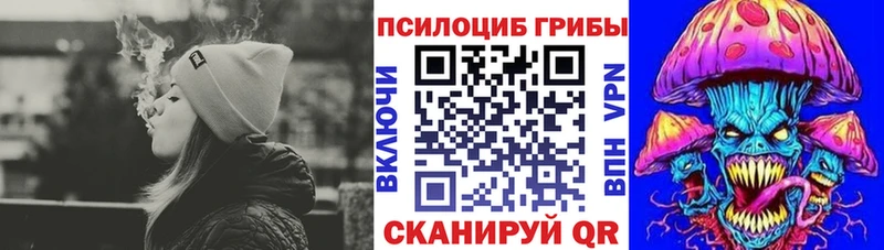 Купить закладки  Верхоянск  Псилоцибиновые грибы GOLDEN TEACHER 